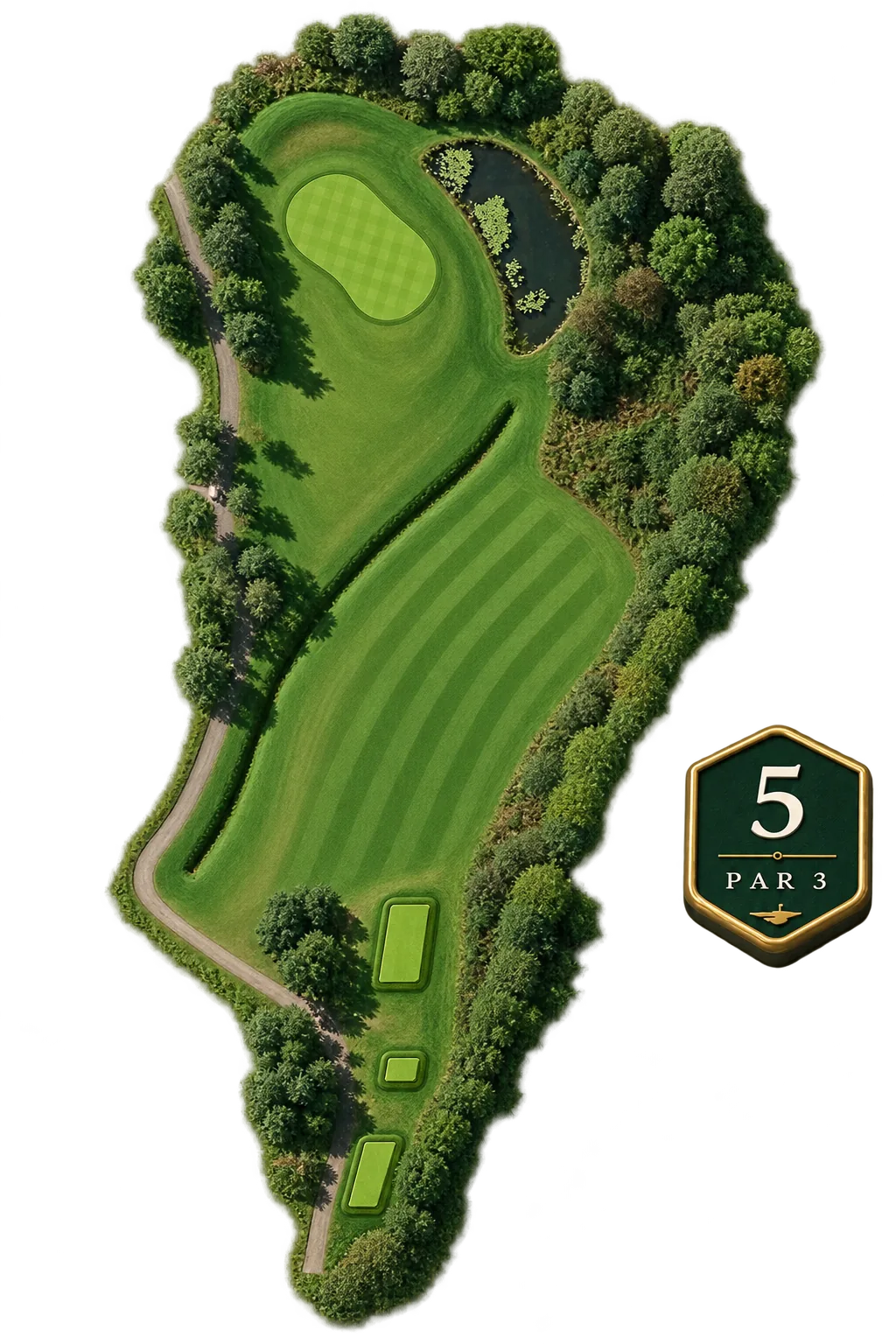 Overhead view of the 5th hole cut out from its surroundings, a short straight par 3 rising between trees to a kidney-shaped green with a reed-fringed pond to its right, three staggered tees at the foot and a cart path running up the left, marked hole 5, par 3.