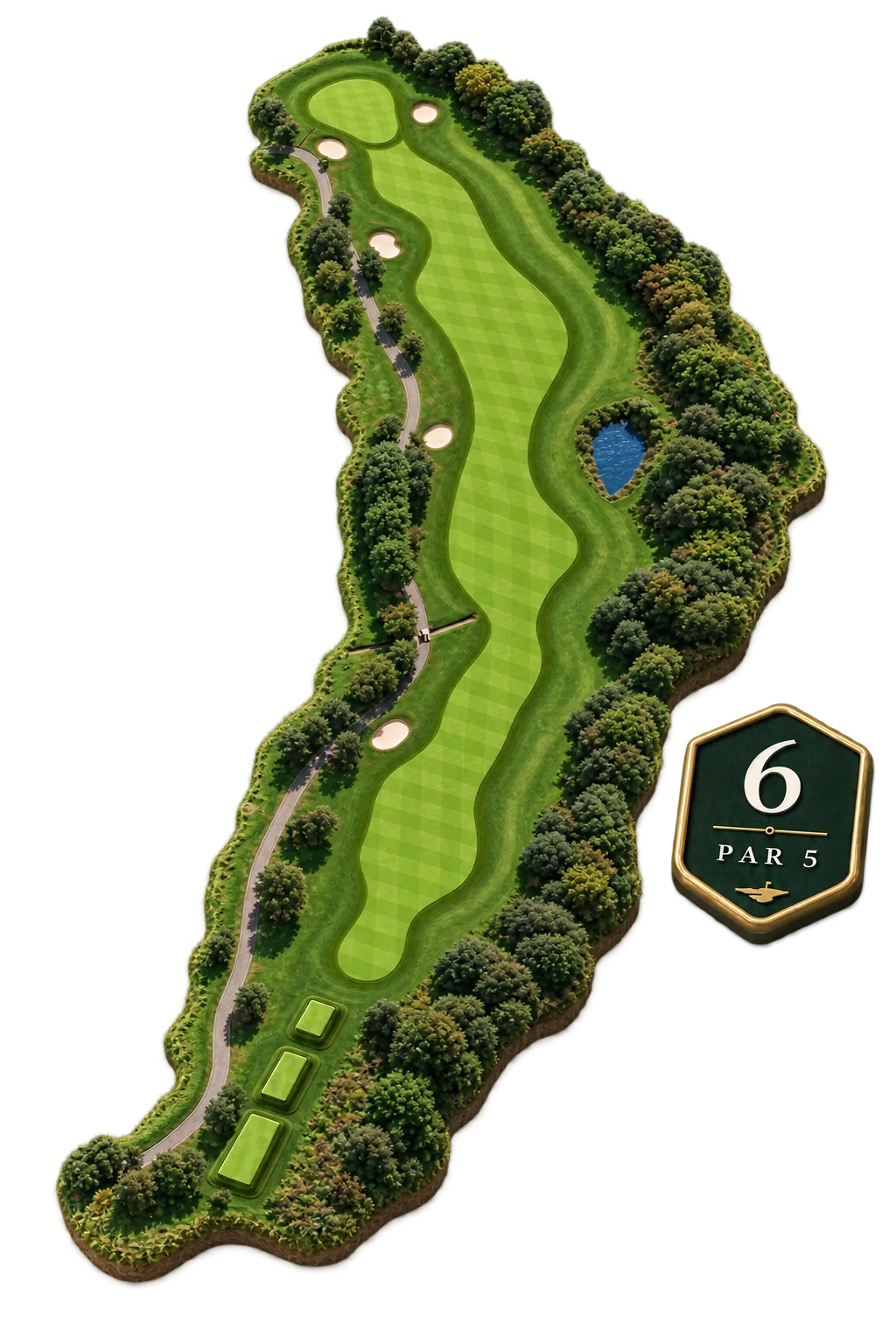 Overhead view of the 6th hole cut out from its surroundings, a long par 5 whose fairway snakes between dense pine woodland past five bunkers and a small pond on the right to a green at the top, with a cart path following the left edge, marked hole 6, par 5.